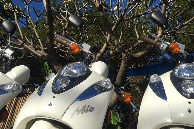 Single Passenger Moped/Scooter - 18+ NO Motorcycle License Needed - Who this moped rental is perfect for (and who should think twice)