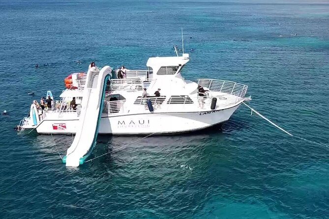 Small Group Coral Gardens Snorkel & Waterslide Adventure - Whale Watching Without Extra Cost During the Right Months