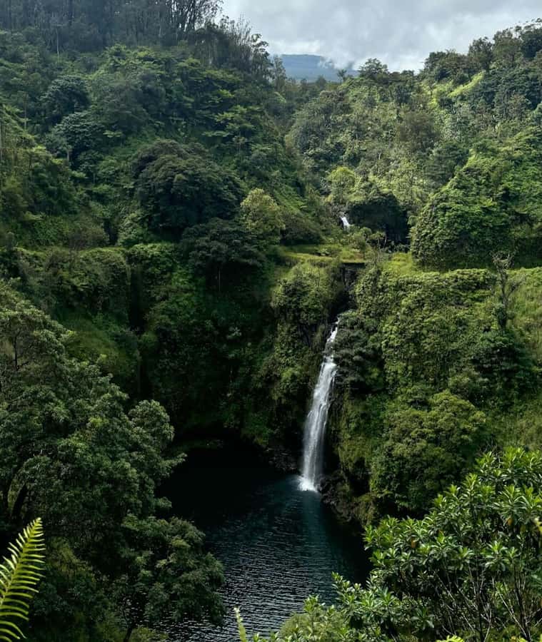 Small Group Full Day Road to Hana Adventure Guided Tour - Key things I’d circle before you book