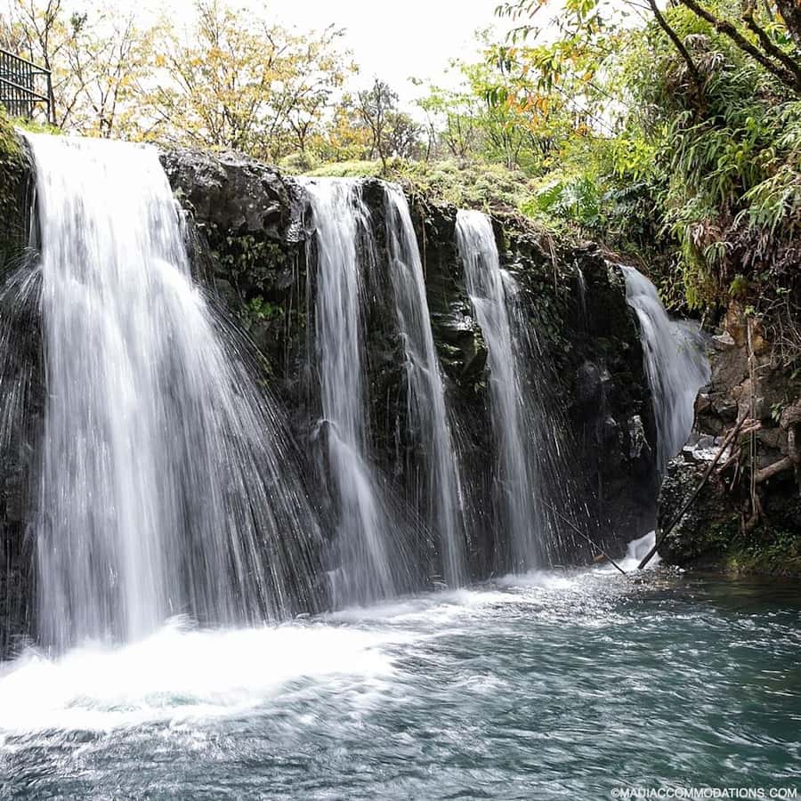 Small Group Full Day Road to Hana Adventure Guided Tour - Lunch breaks: included picnic timing and the Hana Farms note