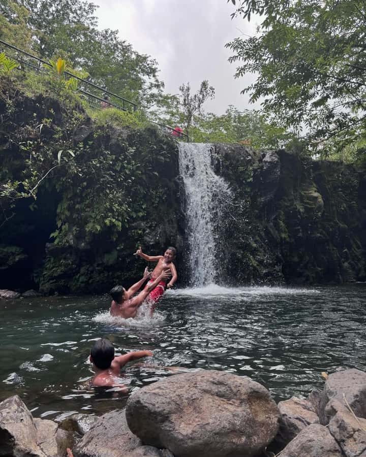 Small Group Full Day Road to Hana Adventure Guided Tour - Why the guide matters: history, culture, and road storytelling