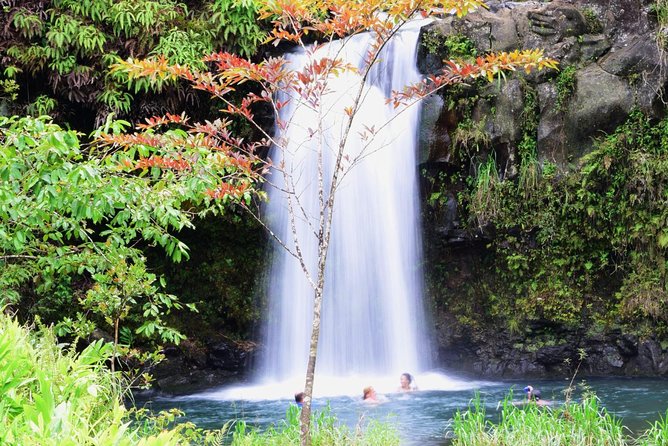 Small-Group Luxury Tour: Road to Hana and Ka'eleku Cavern Day Trip - 7:00 am start, 10-hour day: what the pacing feels like