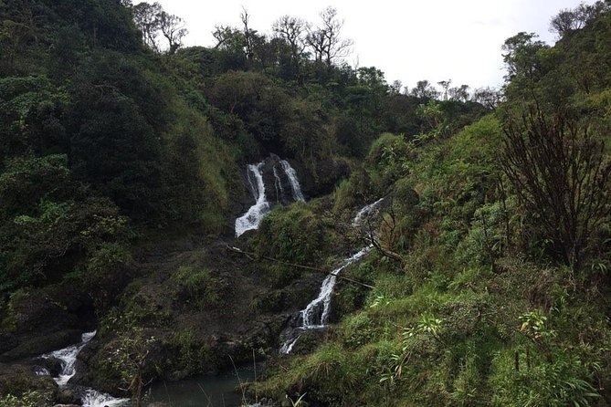 Small-Group Road to Hana Adventure Tour with Pickup & Lunch - Key things I’d circle before you book