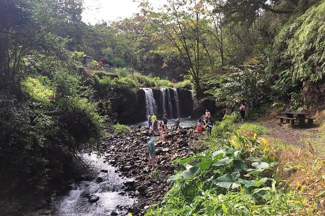 Small-Group Road to Hana Adventure Tour with Pickup & Lunch - Safeway stop for coffee and supplies
