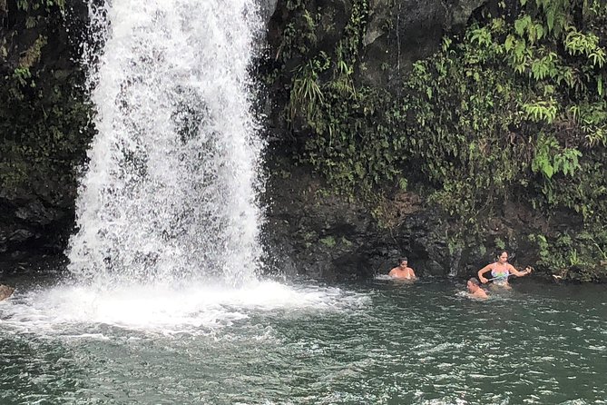 Small-Group Road to Hana Adventure Tour with Pickup & Lunch - Bamboo forest photo break: quick, easy, and scenic
