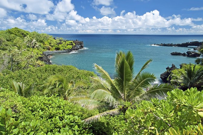 Small-Group Road to Hana Adventure Tour with Pickup & Lunch - The “tallest waterfall” roadside stop and why it’s on request