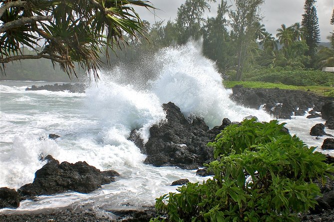 Small-Group Road to Hana Luxury Tour - Kaumahina and Ke‘anae: Peninsula Views and Taro Country