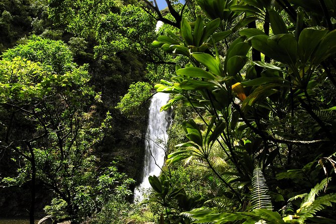 Small-Group Road to Hana Luxury Tour - Wai’anapanapa State Park: Black Sand Beach With Real Walk-Time