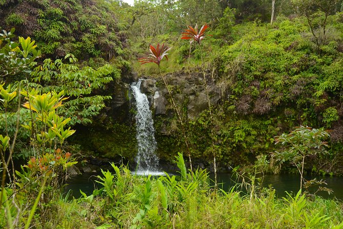 Small-Group Road to Hana Luxury Tour - Guide Style: Safety, Culture Stories, and Better Photo Timing