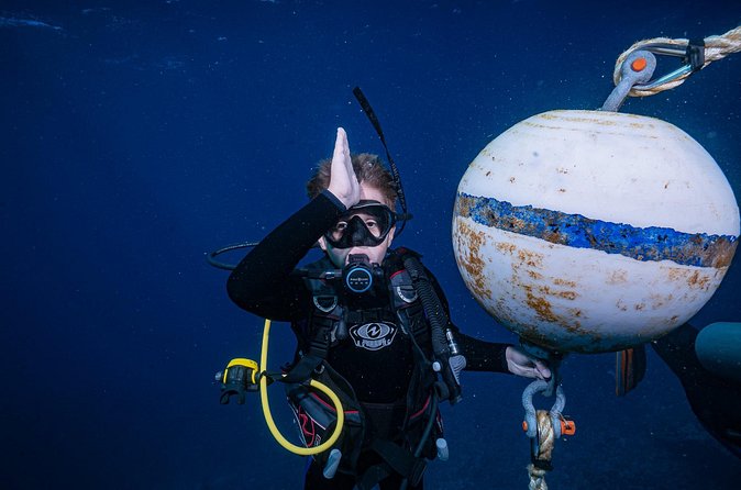 Small-Group Shark and Turtle Dive for Certified Divers - Price Check: Why $135.80 Can Be a Smart Maui Choice