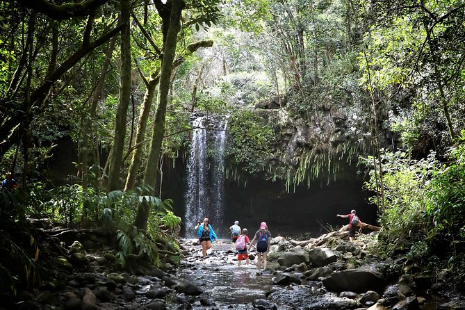 Small Group Waterfall and Rainforest Hiking Adventure on Maui - East Maui in half a day: why this hike works