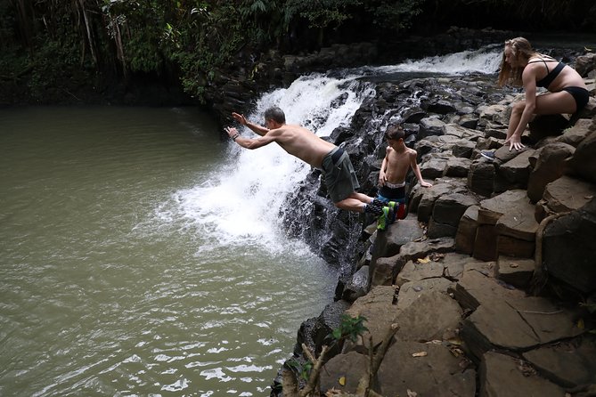 Small Group Waterfall and Rainforest Hiking Adventure on Maui - Guide energy makes or breaks the day (and you have examples)