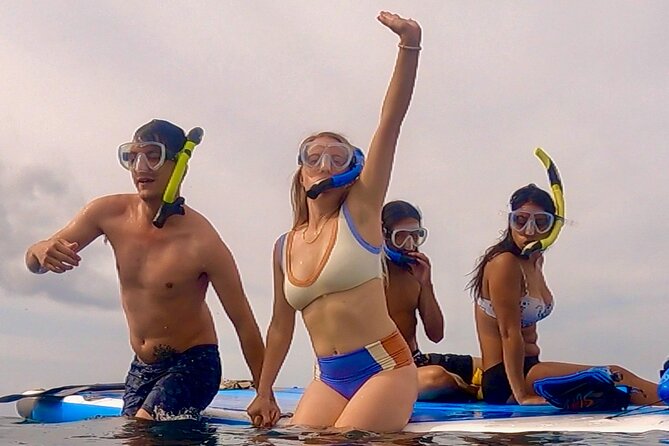 Snorkeling for Non-Swimmers with Photos Guided Tour Wailea Beach - Paddleboard Snorkel Time: More Wildlife, Less Pressure