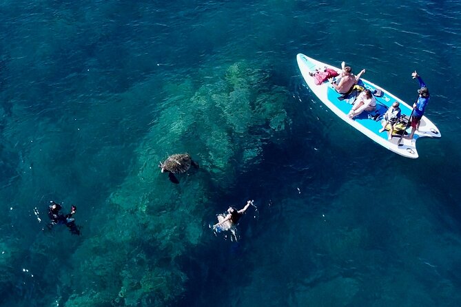 Snorkeling for Non-Swimmers with Photos Guided Tour Wailea Beach - What You’ll See Underwater (and Why the “Beginner View” Still Feels Big)