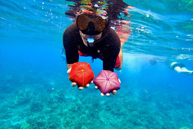 Snorkeling for Non-Swimmers with Photos Guided Tour Wailea Beach - Price and Value: Is $149 Worth 1.5 Hours?