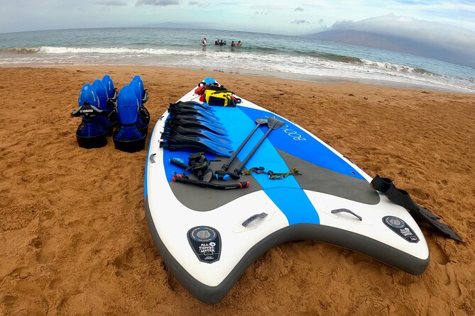 Snorkeling for Non-Swimmers with Photos Guided Tour Wailea Beach - Meeting at 3894 Wailea Alanui Dr and Getting Set Up Fast