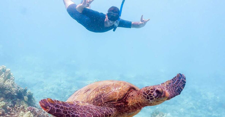 South Maui: Molokini Snorkeling Adventure - Turtle Town: calmer water, coral, and a shot at green sea turtles