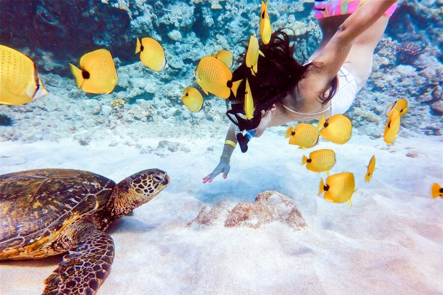 South Maui: Molokini Snorkeling Adventure - Getting the most from Molokini and Turtle Town: what to do with your time