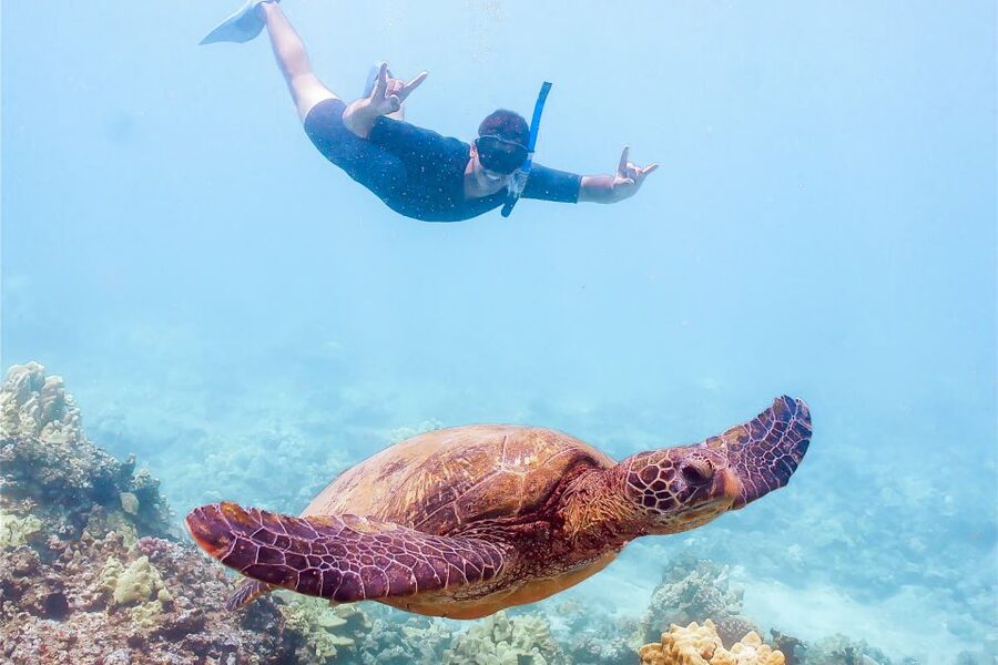 South Maui: Molokini Snorkeling Adventure - Molokini crater snorkeling: extinct volcano views and fish you can point at
