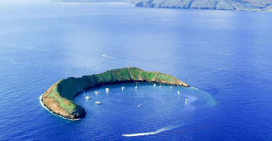South Maui: Molokini & Turtle Town Snorkeling Tour with Meal - Maalaea check-in and the moment you stop worrying