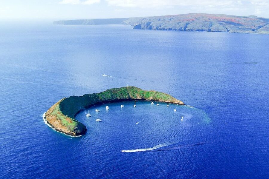 South Maui: Molokini & Turtle Town Snorkeling Tour with Meal - Molokini Crater: why the fish look closer here