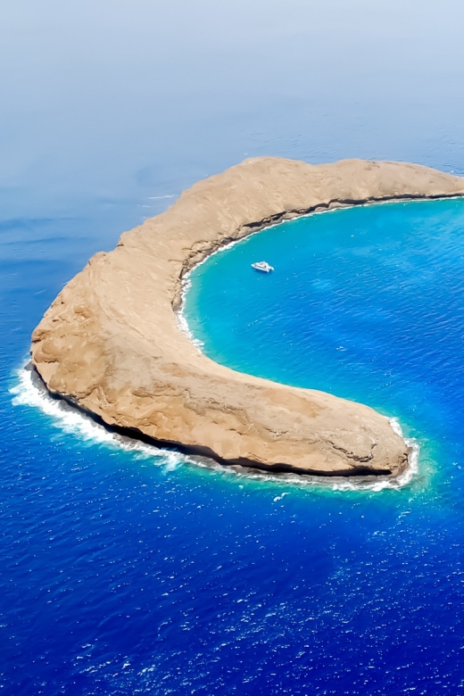 South Maui: Molokini Wild Eco Adventure from Maalaea Harbor - Key Things That Make This Eco-Tour Worth It