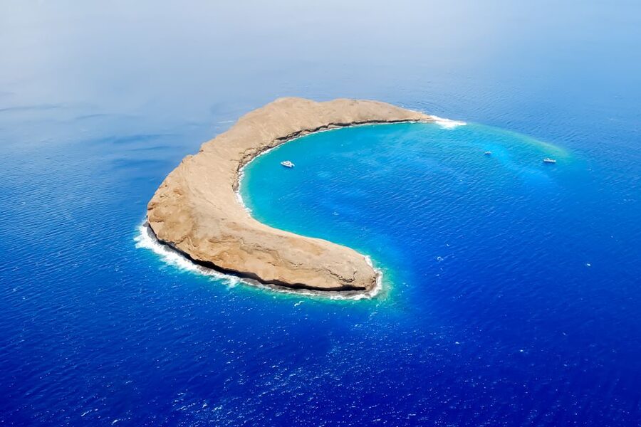 South Maui: Molokini Wild Eco Adventure from Maalaea Harbor - Molokini From Maalaea: What You’re Really Signing Up For