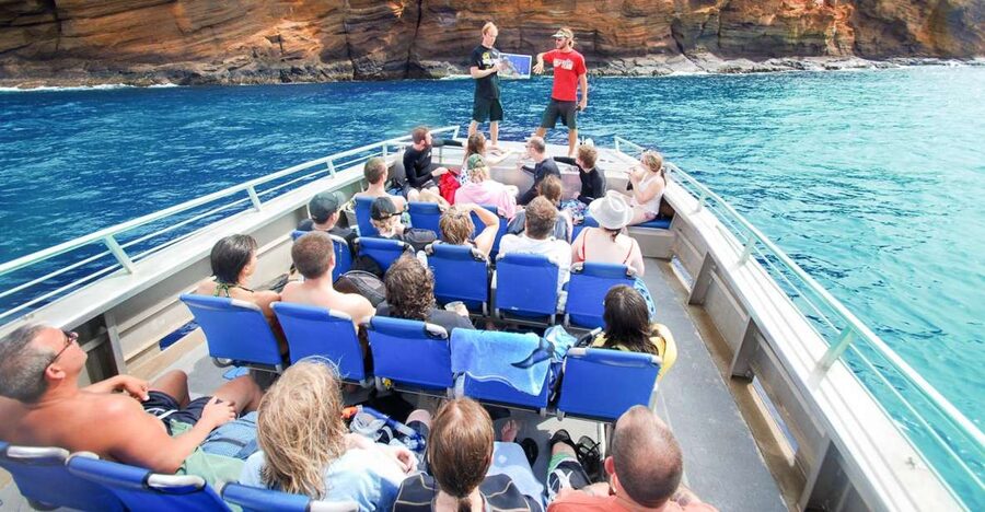 South Maui: Molokini Wild Eco Adventure from Maalaea Harbor - Check-In at PacWhale Ocean Store: Start With Less Stress