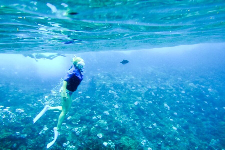 South Maui: Molokini Wild Eco Adventure from Maalaea Harbor - Snorkel Gear Rules That Keep the Reef (and Your Safety) Happy