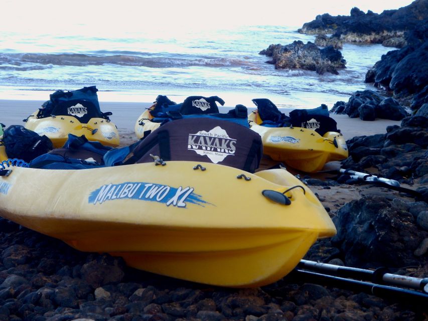 South Maui: Premium Turtle Town Kayak and Snorkel Tour - Guides matter more than you think: Miah, Tyler, John, Jake, Steve