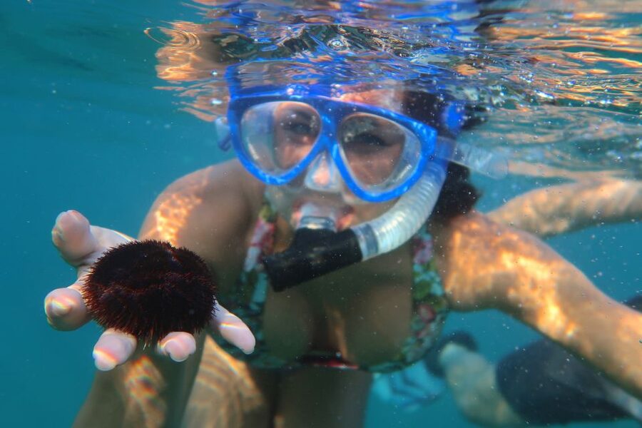 South Maui: Premium Turtle Town Kayak and Snorkel Tour - Price and value: why $151 can make sense in south Maui