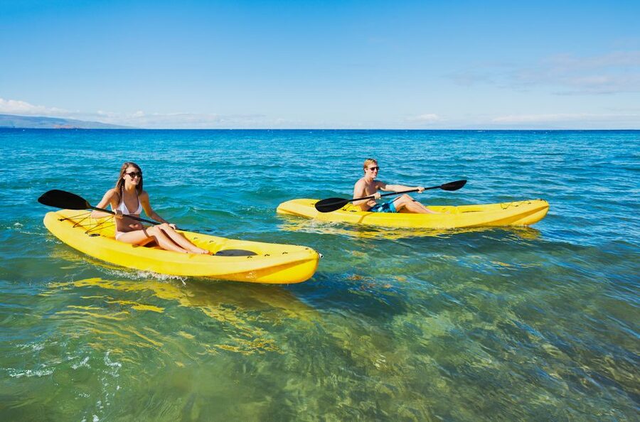 South Maui: Premium Turtle Town Kayak and Snorkel Tour - What to bring (and what not to): the soggy-solution list