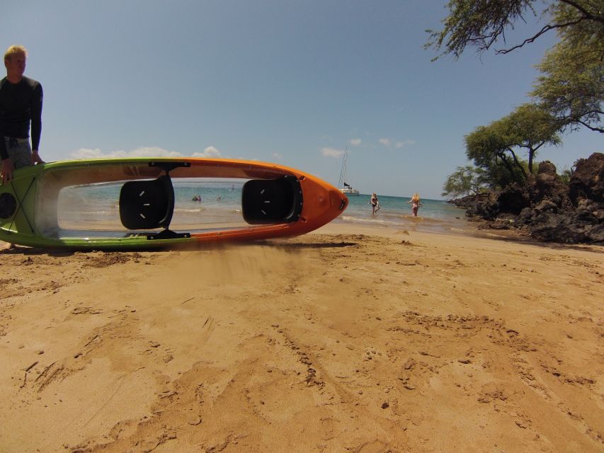 South Maui: Self Guided Clear Bottom Kayak Tour - Clear-bottom kayaking around Turtle Town: what you’ll see under your feet
