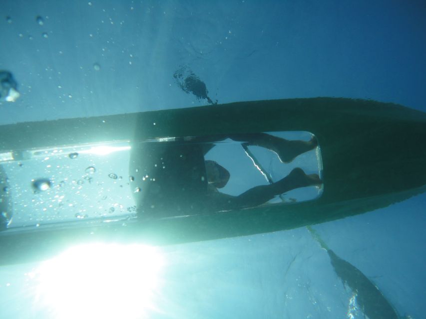 South Maui: Self Guided Clear Bottom Kayak Tour - Self-guided freedom: how to paddle for the best wildlife odds
