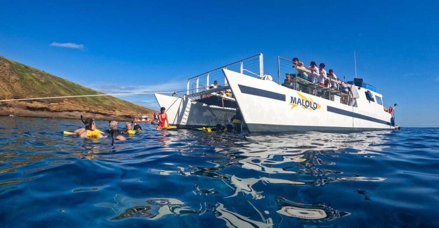 South Maui: Snorkel to Coral Gardens or Molokini Crater - Whale Watching Windows: Two Chances at Maui Magic