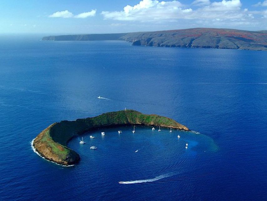South Maui: Snorkel to Coral Gardens or Molokini Crater - Coral Gardens vs. Molokini Crater: How Your Snorkel Spot Is Chosen