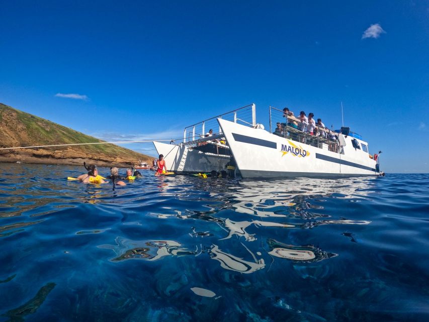South Maui: Snorkel to Coral Gardens or Molokini Crater - What You’ll See Underwater (And What Helps You See It)