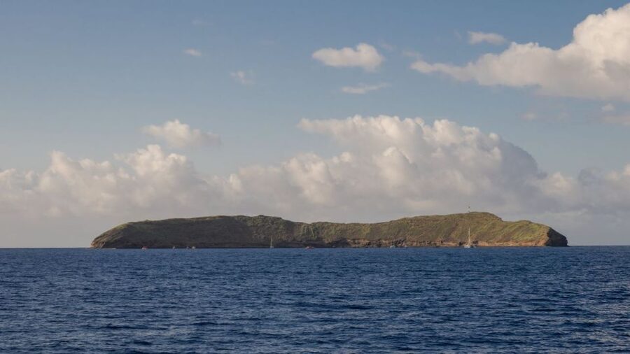 South Maui: Snorkel to Coral Gardens or Molokini Crater - The Food and Drinks Moment: Lunch on a Boat Actually Works