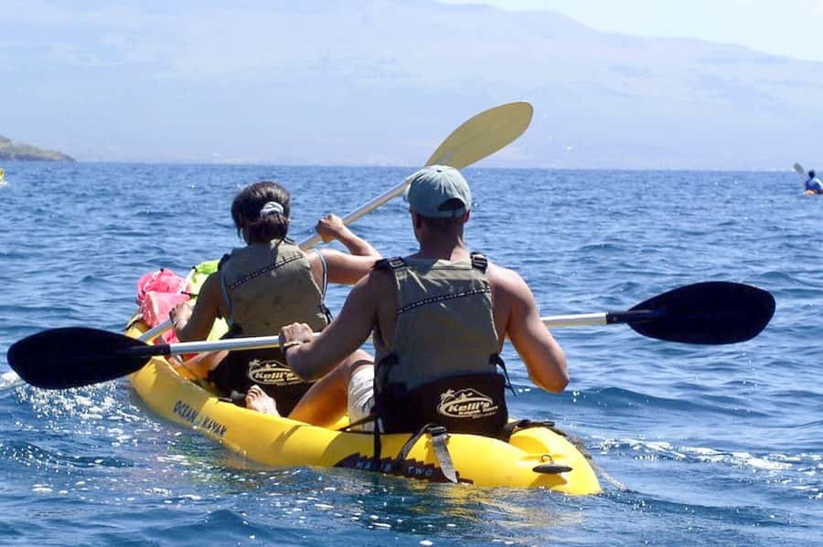 South Maui: Waterfall Tour w/ Kayak, Snorkel, and Hike - Key highlights you’ll care about