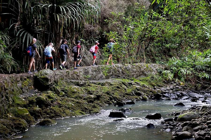 South Maui: Waterfall Tour w/ Kayak, Snorkel, and Hike - What to pack (and what to wear) so the day feels easy