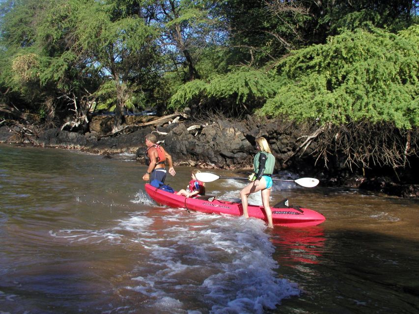 South Maui: Whale Watch Kayaking and Snorkel Tour in Kihei - Key Highlights You’ll Feel on the Water