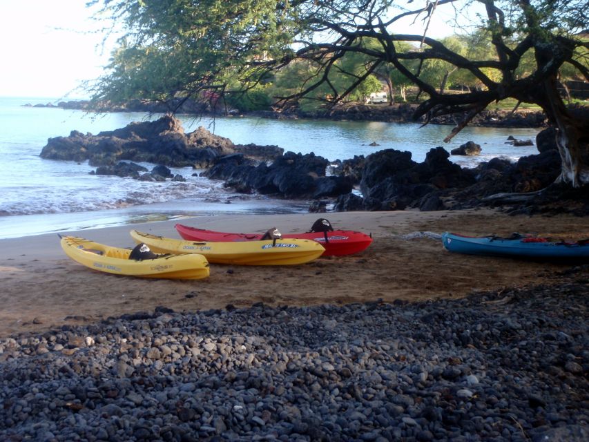 South Maui: Whale Watch Kayaking and Snorkel Tour in Kihei - Who This Tour Fits Best (and Who Might Rethink It)