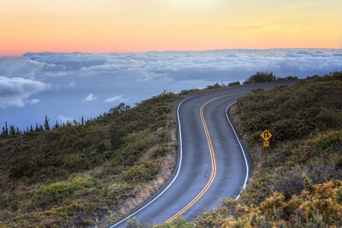Stellar HI Tours- 15 person van-your own private tour to Hana! - Waterfall-country options at Pua’a Ka’a State Park