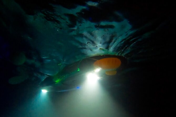 Sunset/Glow Clear Kayak Tour in Olowalu - What You Should Watch for During the Night Reef Viewing