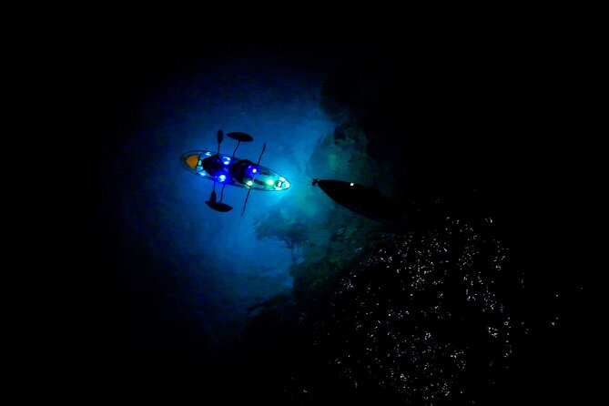 Sunset/Glow Clear Kayak Tour in Olowalu - Price and Value: Is $239 Worth It?