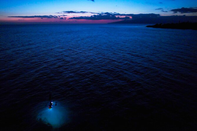 Sunset/Glow Clear Kayak Tour in Olowalu - Should You Book the Sunset/Glow Tour With Gabriel’s Ohana?