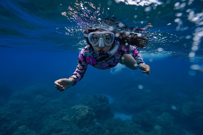 Sunset Glow Snorkel At Turtle Town With Photo & Video - What You’ll See: Green Sea Turtles and More Reef Life