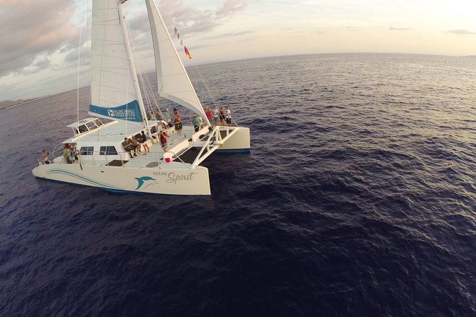 Sunset Sail from Ma'alaea Harbor - Wildlife off Maui: dolphins and humpback whales in season