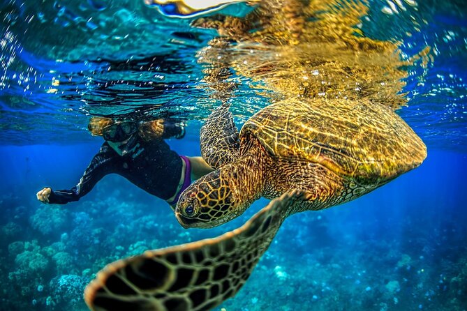 Super Raft - Private Charter Maui 3 Hour Snorkel to Coral Gardens or Molokini - The 3-hour flow: timing, what to expect, and how it stays smooth