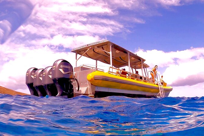 Super Raft - Private Charter Maui 3 Hour Snorkel to Coral Gardens or Molokini - Price and value: $2,866.67 per group, and what that means per person